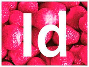 Curso de InDesign